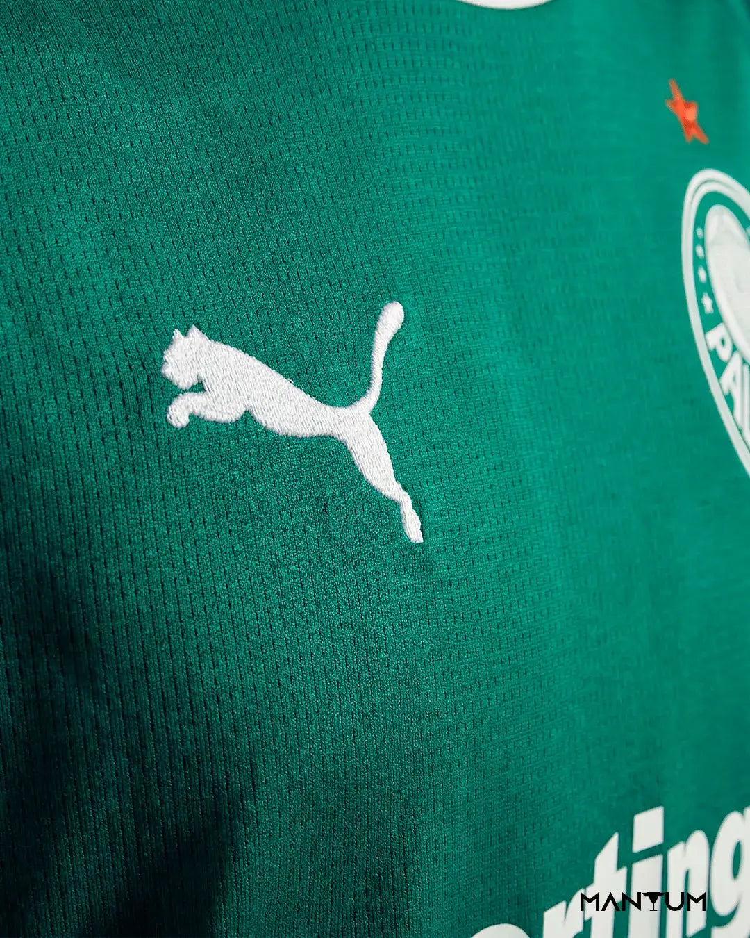 Camiseta Palmeiras 25/26 - Versão Jogador