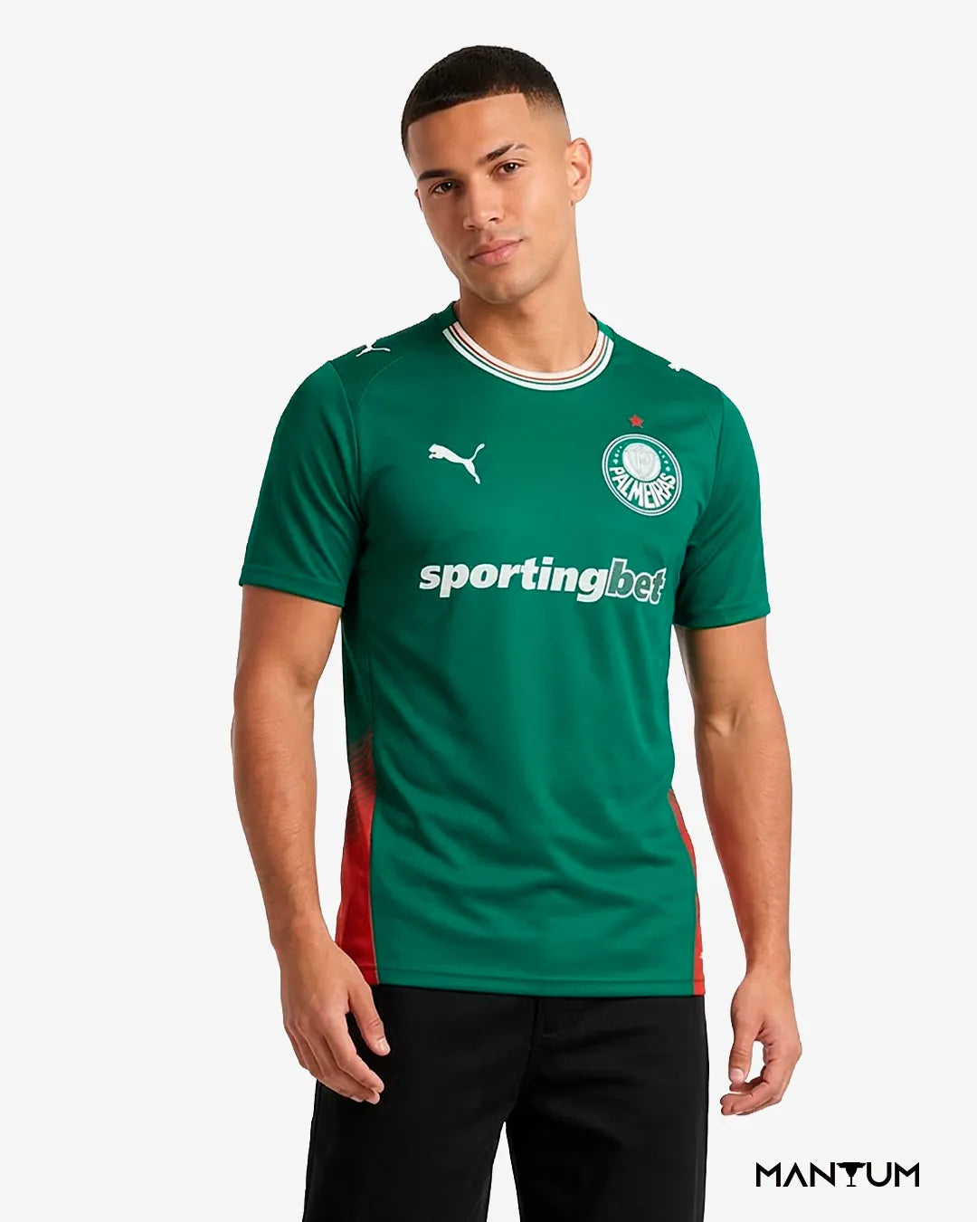 Camiseta Palmeiras 25/26 - Versão Jogador